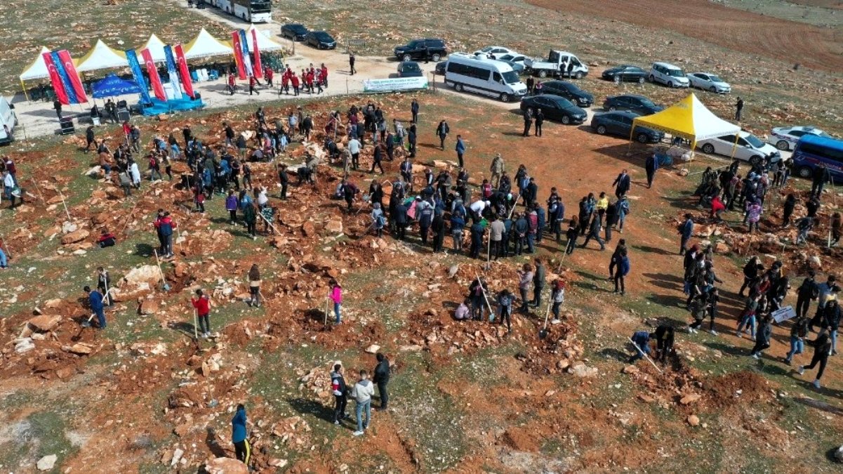 Gaziantep Büyükşehir Belediyesi ile