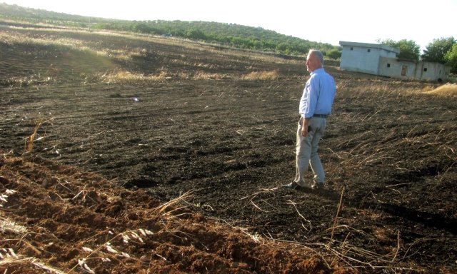 Araban da Hasat bekleyen 45 dönüm arpa kül oldu