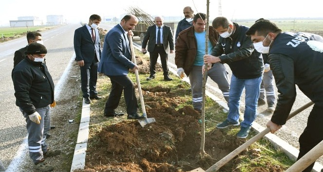 Araban’da ağaçlandırma çalışmaları