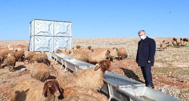 Tahmazoğlu, hayvancılık için açılan su kuyularını inceledi