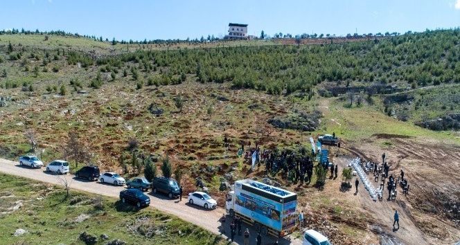 Daha yeşil bir Şahinbey için çam fidanı dikildi