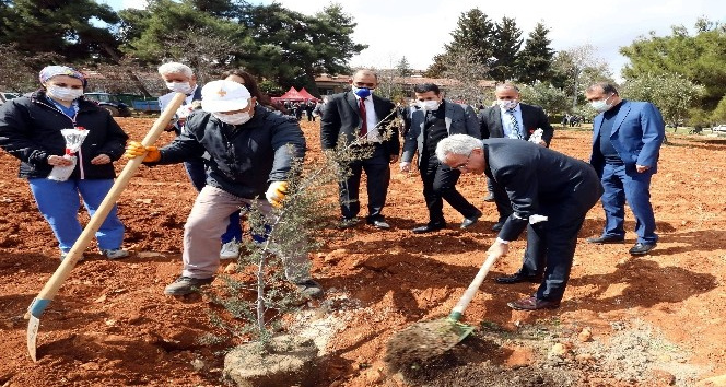 GAÜN'den fidan dikimi