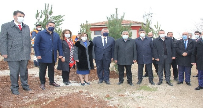 Gaziantep'te 330 adet karaçam ağacı toprakla buluştu