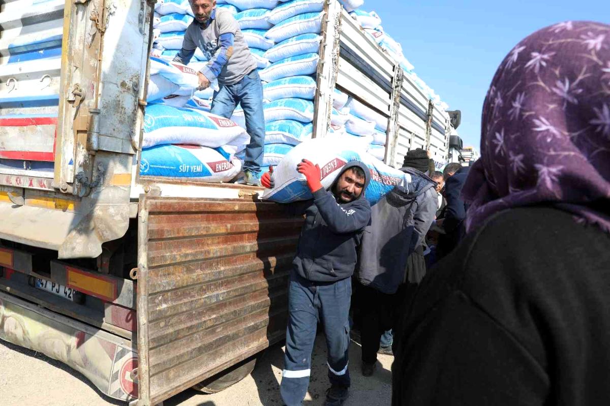 Besicilere yüzde 100 hibeyle 375 ton yem desteği