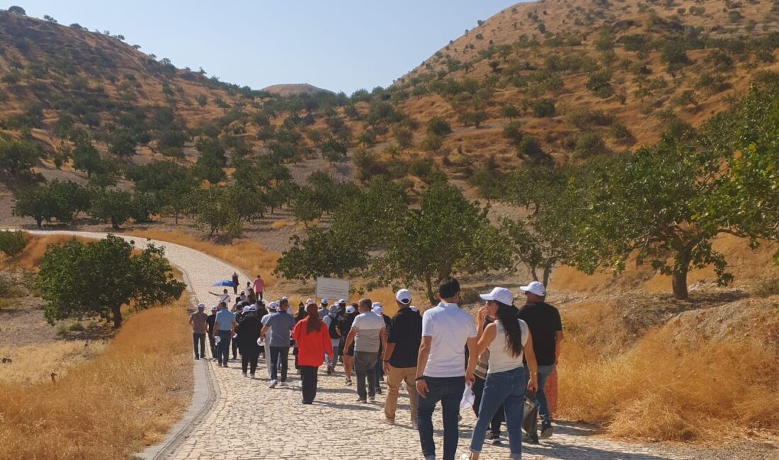 Gaziantep Ticaret Odası (GTO)