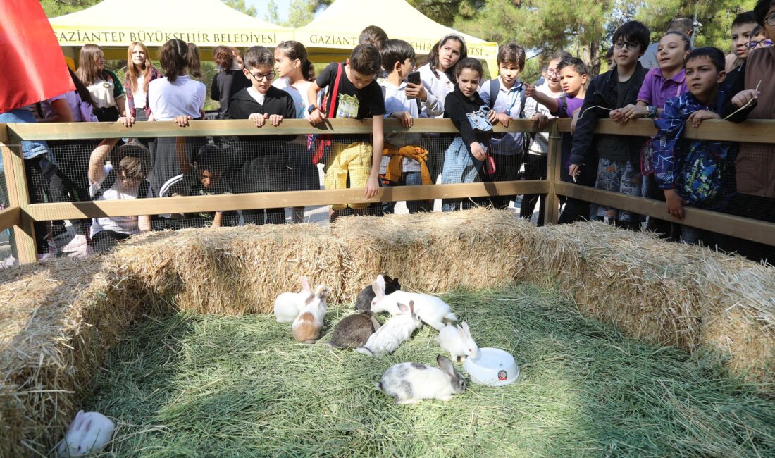 Gaziantep Büyükşehir Belediyesi, 4