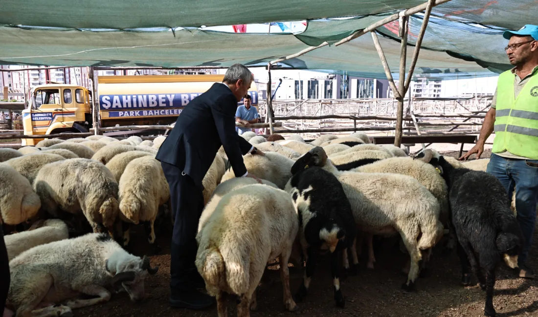 Şahinbey Belediye Başkanı Mehmet