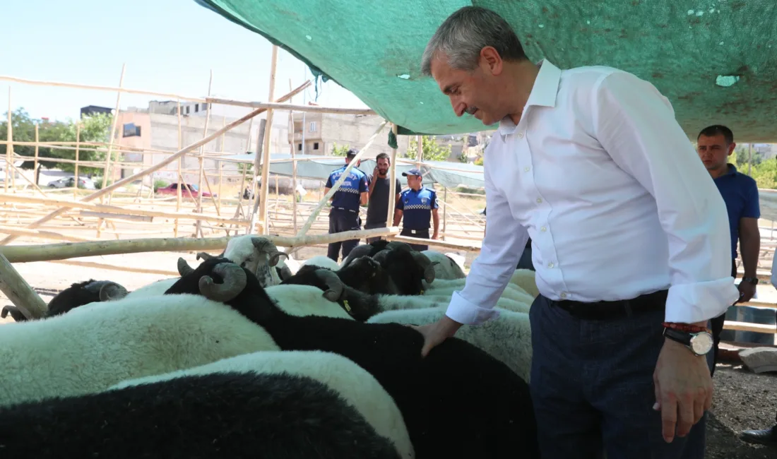 Şahinbey Belediye Başkanı Mehmet