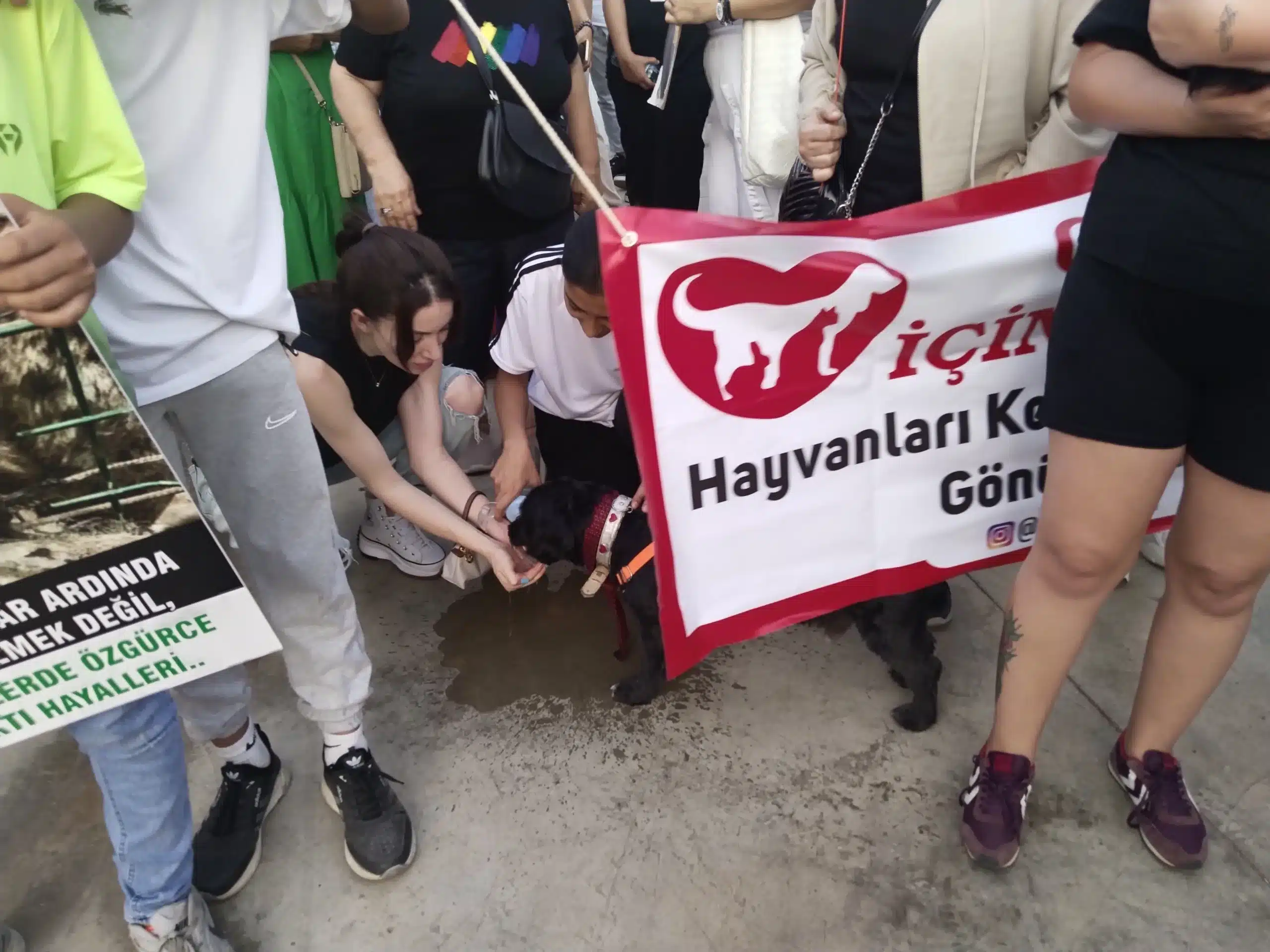 Şehi̇tkami̇l’de, Sokak Hayvanlari İçi̇n Yoğun Katilimli Protesto  