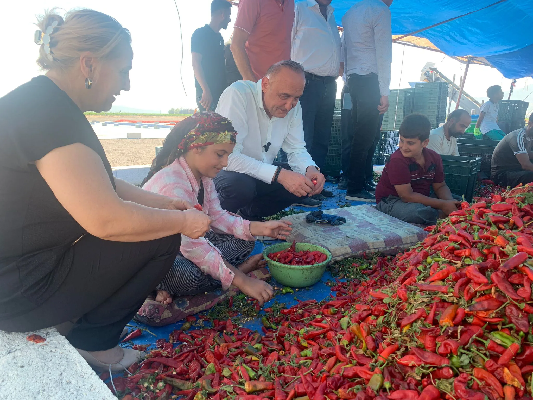 Meriç,&Quot;Gastronomi̇ Kenti̇nde Çi̇ftçi̇ Kan Ağliyor’’