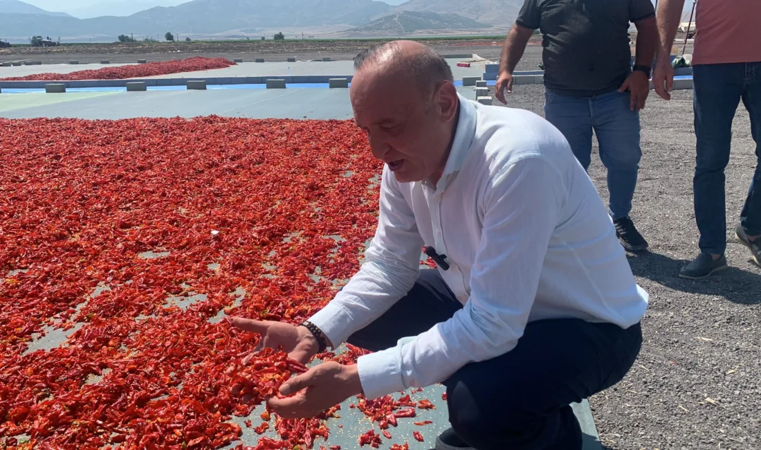 Meriç, tarım arazileri her