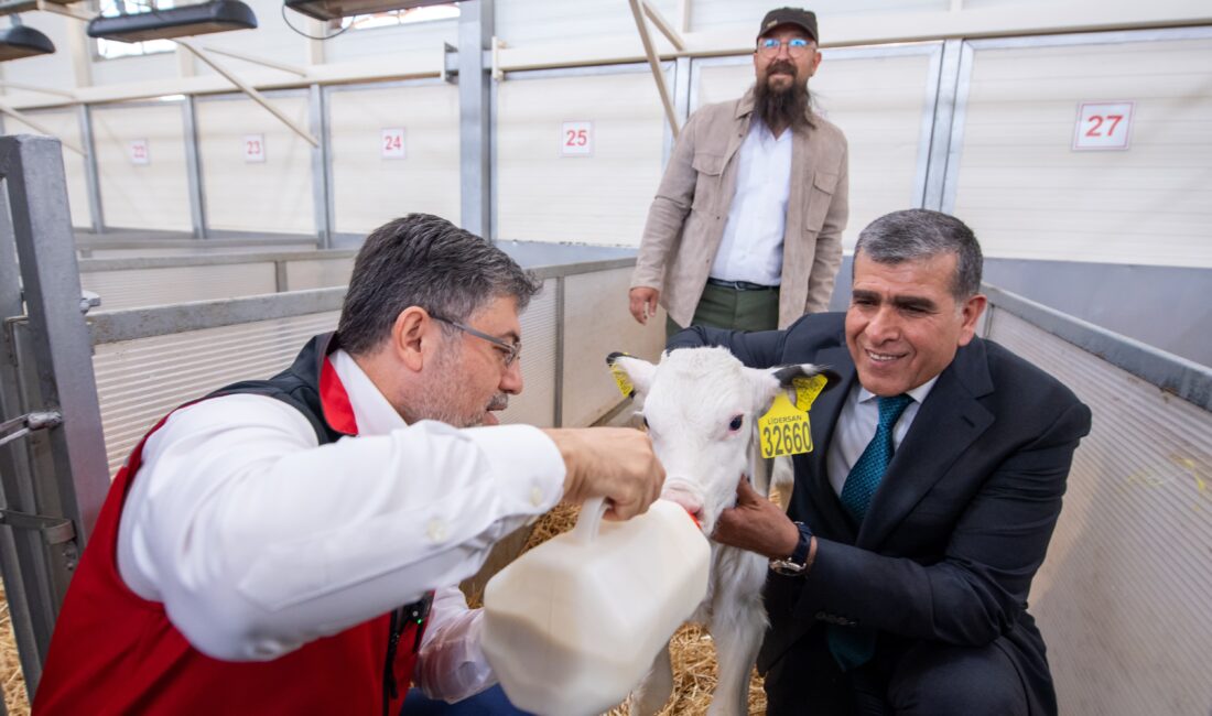 Hayvancılıkta Türkiye’ye örnek bir