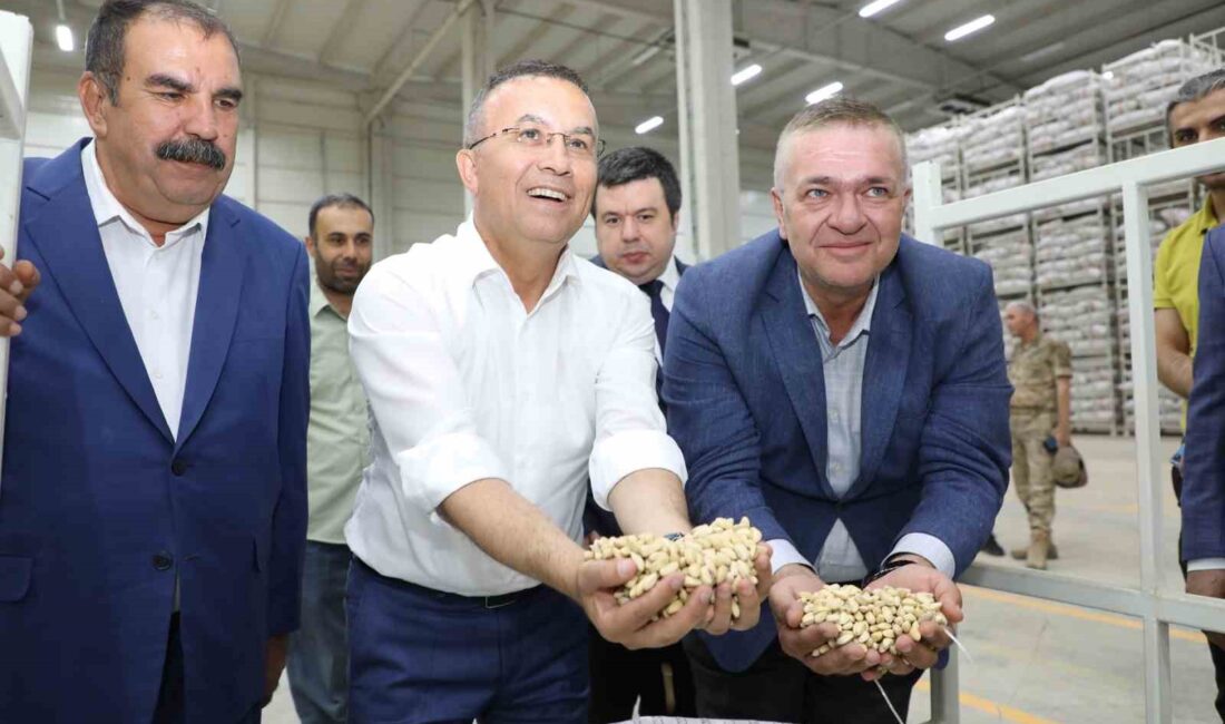 Gaziantep Valisi Kemal Çeber,