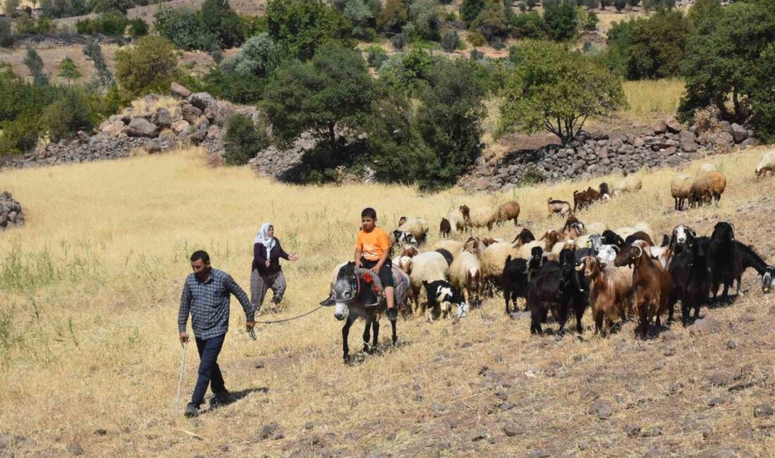 Şahinbey Belediyesi tarafından 313