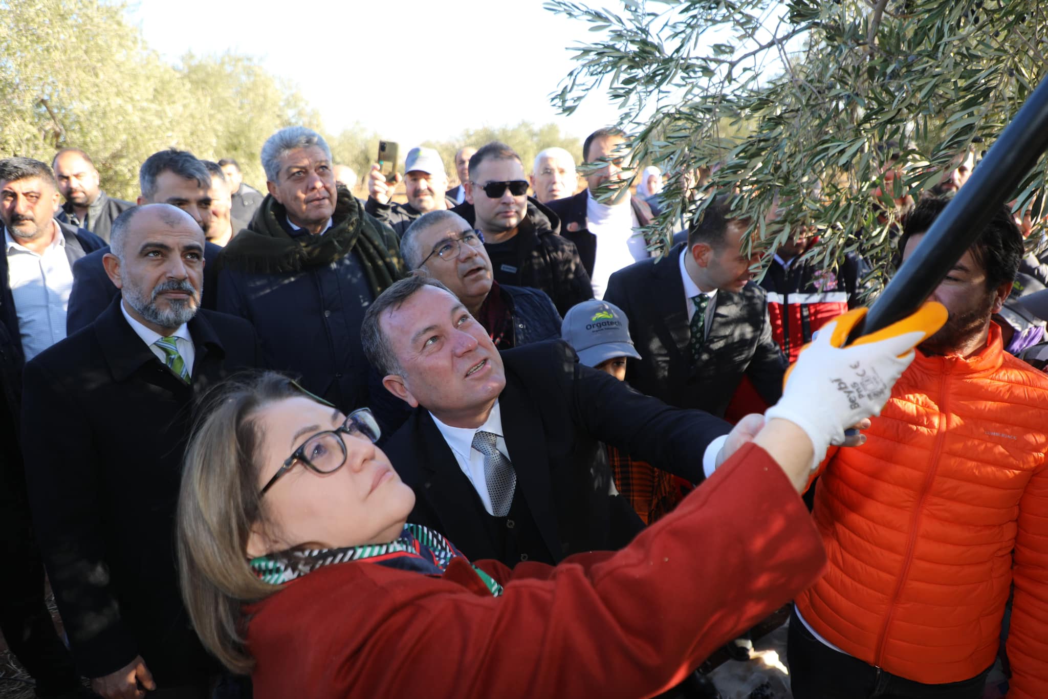 Nizip'te muhteşem zeytin festivali